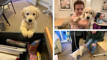 Residents welcome adorable new addition to the Finavon Court family